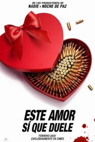 Amor explosivo Online En Netflix