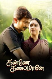 கண்ணே கலைமானே Online En Netflix