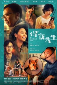 得寵先生 Online En Netflix