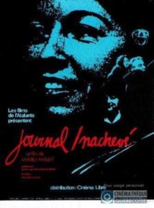Journal inachevé Online En Netflix