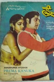 Prema Kanuka Online En Netflix