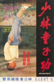 少林童子功 Online En Netflix