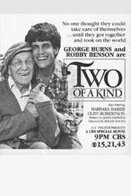 Two of a Kind Online En Netflix
