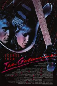 Scenes from the Goldmine Online En Netflix