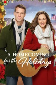 A Homecoming for the Holidays Online En Netflix