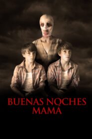 Buenas noches, mamá Online En Netflix