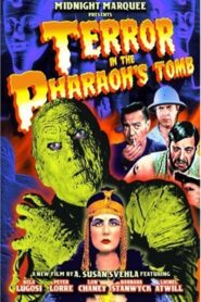 Terror in the Pharaoh’s Tomb Online En Netflix