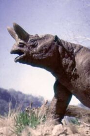 The Age of Mammals Online En Netflix