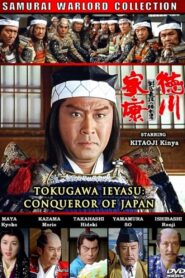 戦国最後の勝利者！徳川家康 Online En Netflix