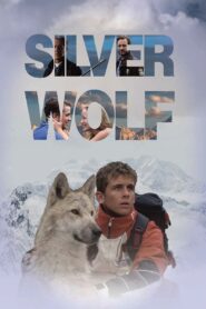 Silver Wolf Online En Netflix