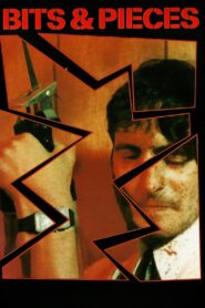 Bits and Pieces Online En Netflix