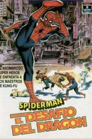 Spider-Man: El desafío del Dragón Online En Netflix