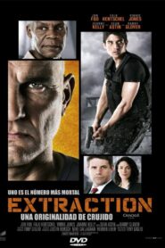 Extraccion Online En Netflix