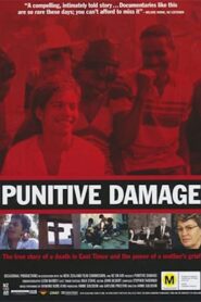 Punitive Damage Online En Netflix