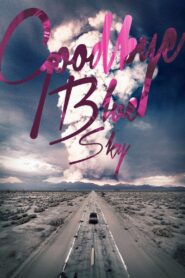 Goodbye Blue Sky Online En Netflix