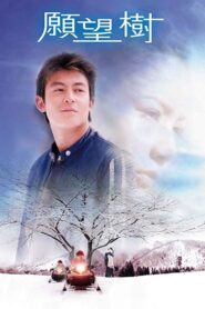 願望樹 Online En Netflix