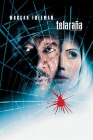 Telaraña Online En Netflix