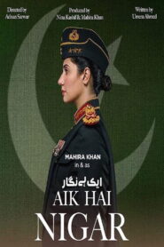 اک ہے نگار Online En Netflix
