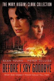 Before I Say Goodbye Online En Netflix