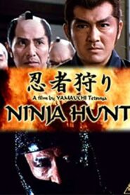 忍者狩り Online En Netflix