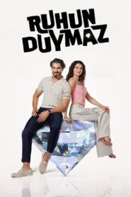 Amor Encubierto 2023 En Netflix