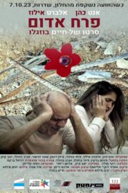 פרח אדום Online En Netflix