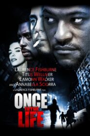 Once in the Life Online En Netflix