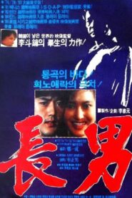 장남 Online En Netflix