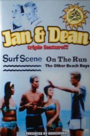 Jan & Dean: The Other Beach Boys Online En Netflix