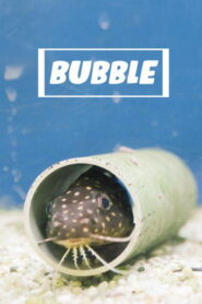 Bubble Online En Netflix