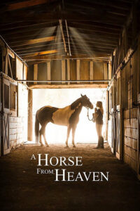 A Horse from Heaven Online En Netflix