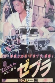 女仕置人ゼブラ　１　セクシー編 Online En Netflix