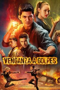 Venganza a golpes Online En Netflix