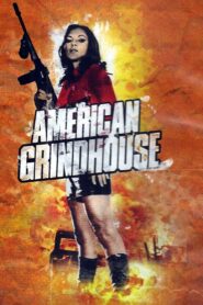 American Grindhouse Online En Netflix