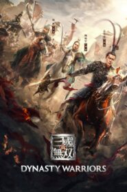 Dynasty Warriors Online En Netflix
