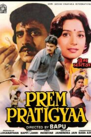 Prem Pratigyaa Online En Netflix