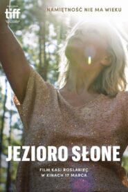 Jezioro Słone Online En Netflix