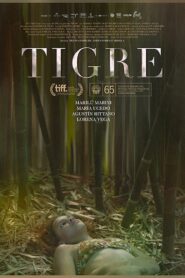 Tigre Online En Netflix