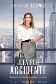 Jefa por accidente Online En Netflix