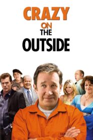 Crazy on the Outside Online En Netflix