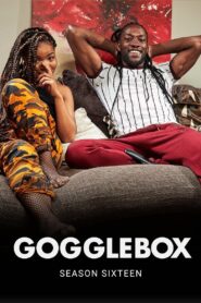 Gogglebox: Temporada 16 {year} En Netflix