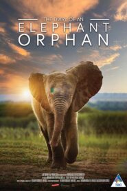 Diary of an Elephant Orphan Online En Netflix