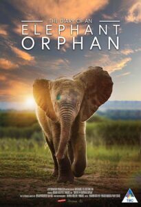 Diary of an Elephant Orphan Online En Netflix