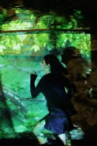 Scenic Jogging Online En Netflix