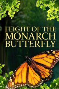Flight of the Monarch Butterfly Online En Netflix