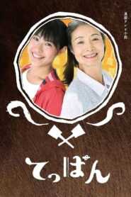 てっぱん 2010 En Netflix