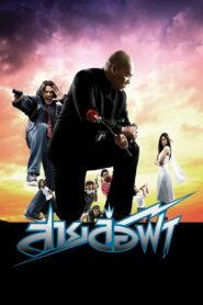 สายล่อฟ้า Online En Netflix