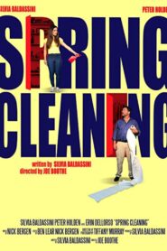Spring Cleaning Online En Netflix