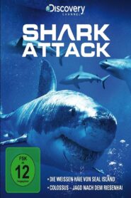 Shark Attack 2013 En Netflix
