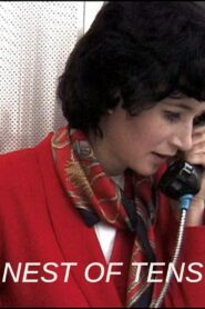 Nest of Tens Online En Netflix